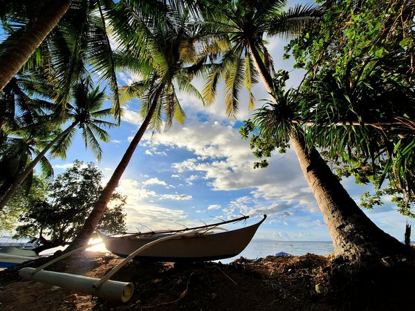 La location de chalets : solution confortable pour les télétravailleurs