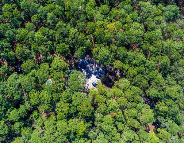 Les meilleures destinations en mer adriatique pour observer les dauphins : un voyage inoubliable